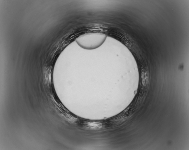 X0000115110753200912081321