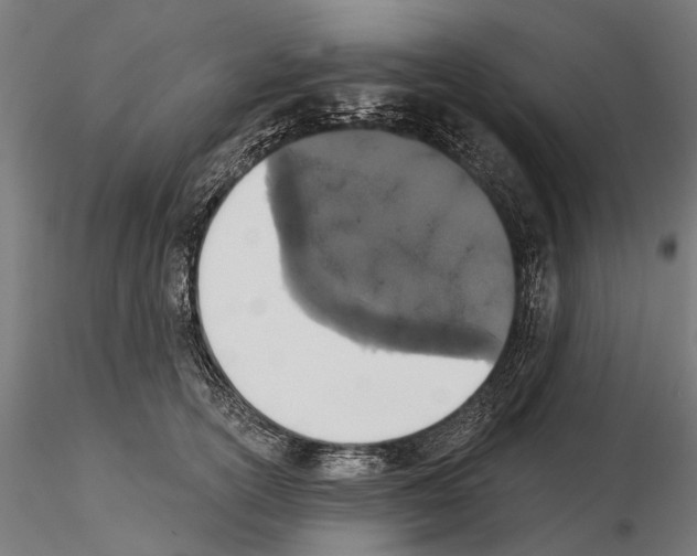 X0000115110754200912081321