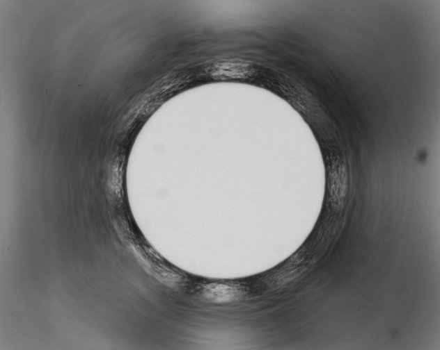 X0000115110755200912081321