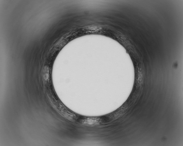 X0000115110758200912081321