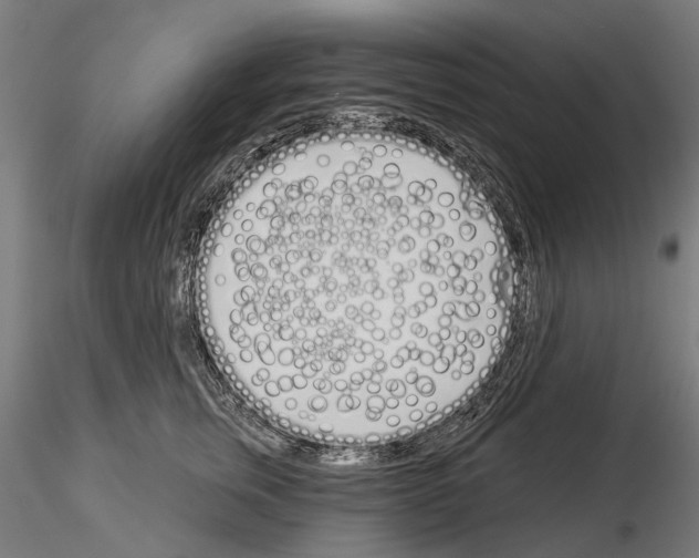 X0000115110759200912081321