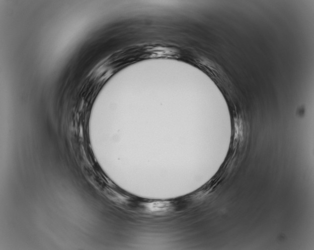 X0000115110761200912081321