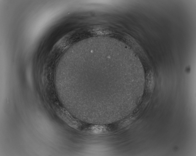 X0000115110762200912081321