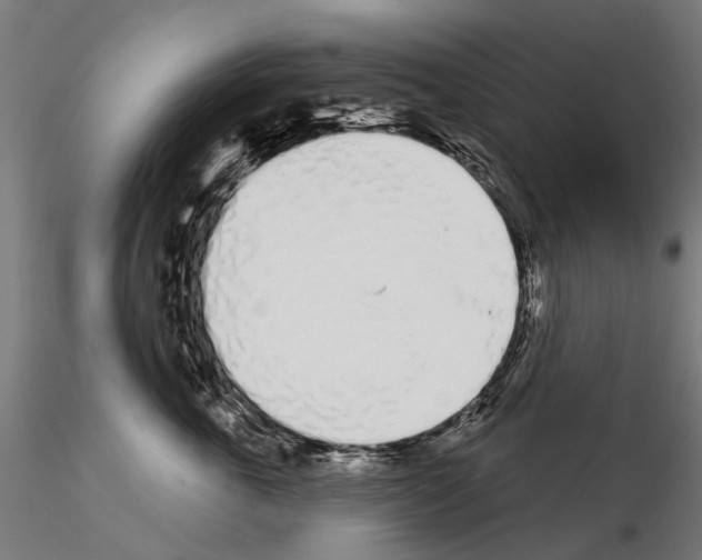 X0000115110763200912081321