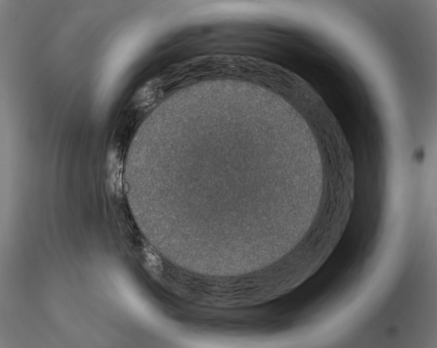 X0000115110766200912081321