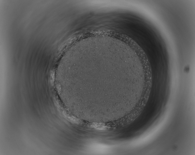 X0000115110767200912081321