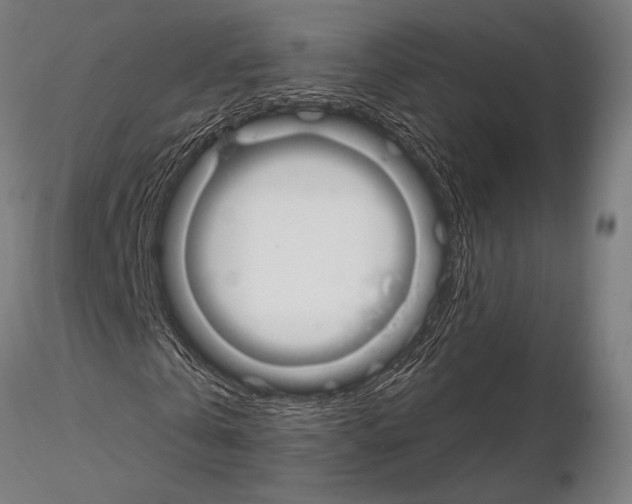 X0000115110769200912081320