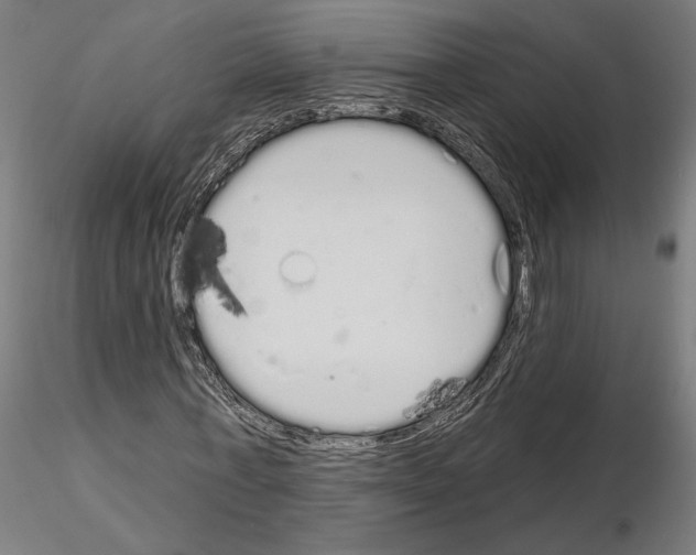 X0000115110771200912081320