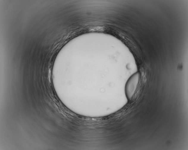 X0000115110772200912081320