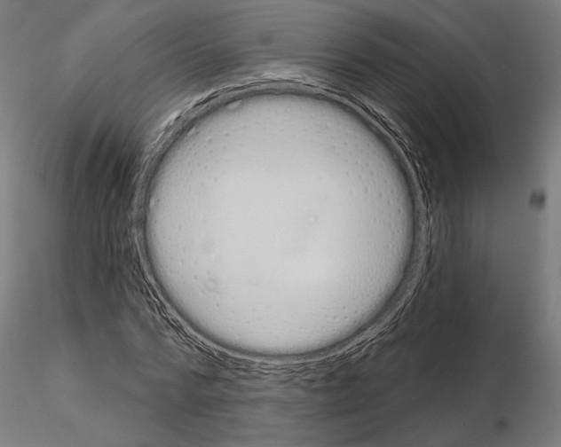 X0000115110776200912081320