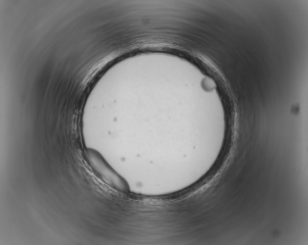 X0000115110777200912081320