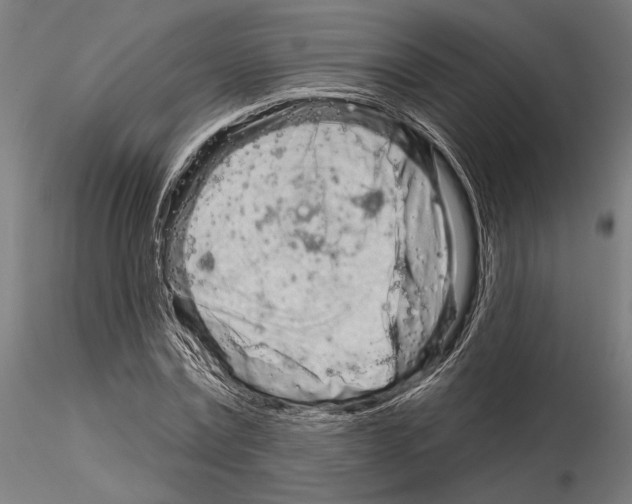 X0000115110779200912081320