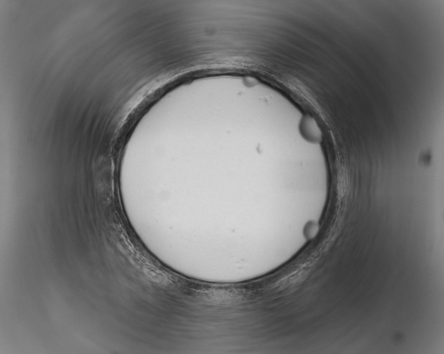 X0000115110781200912081320