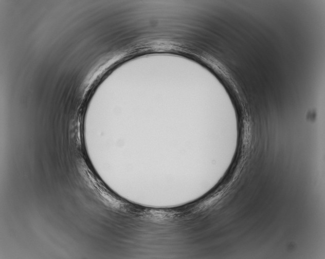 X0000115110782200912081320