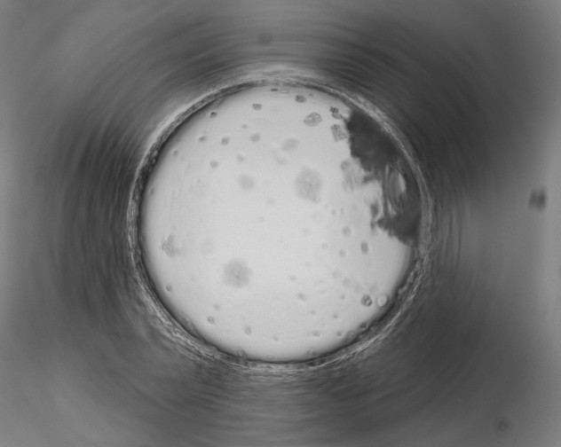 X0000115110783200912081320