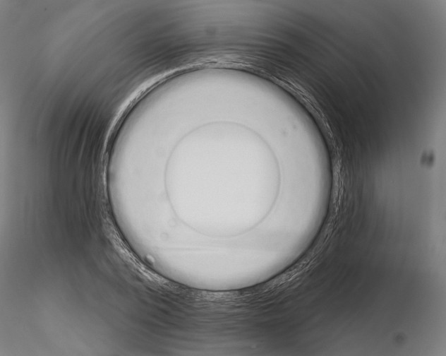 X0000115110784200912081320