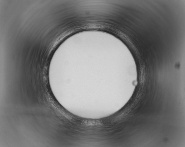 X0000115110786200912081320