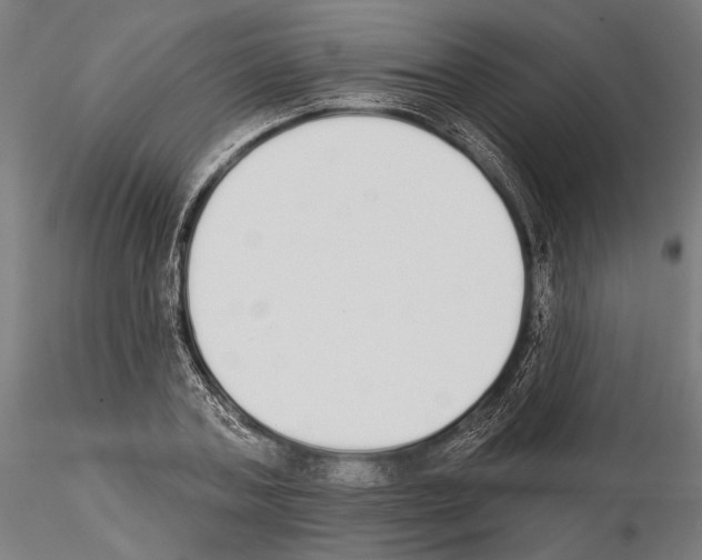 X0000115110787200912081320