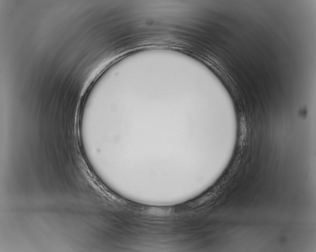 X0000115110788200912081320