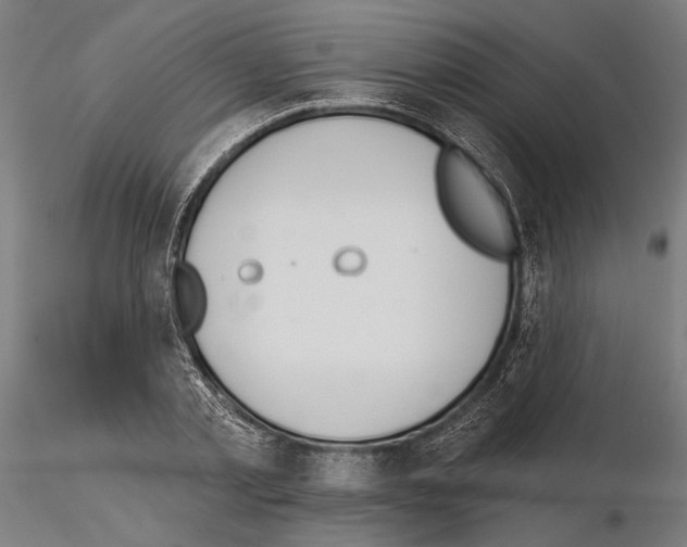 X0000115110789200912081320