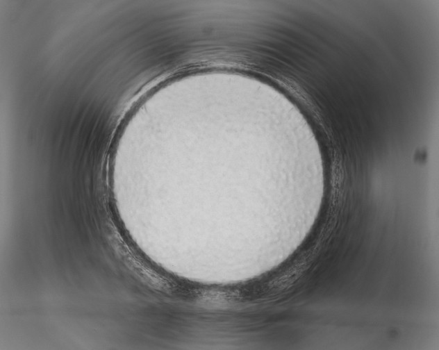 X0000115110790200912081320