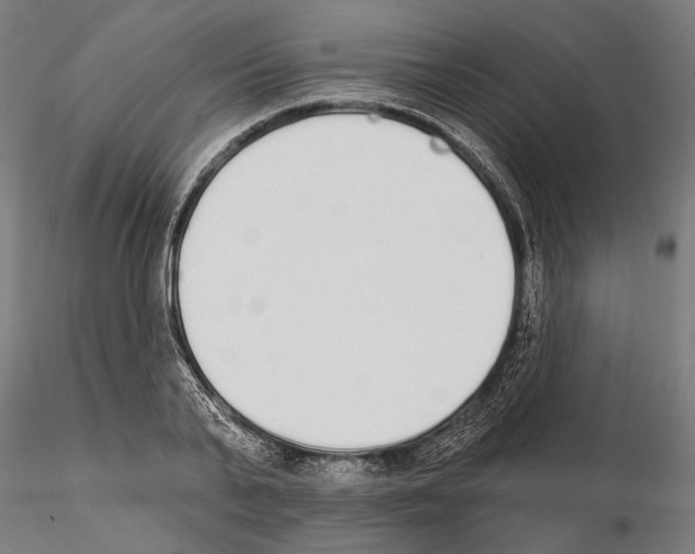 X0000115110791200912081320