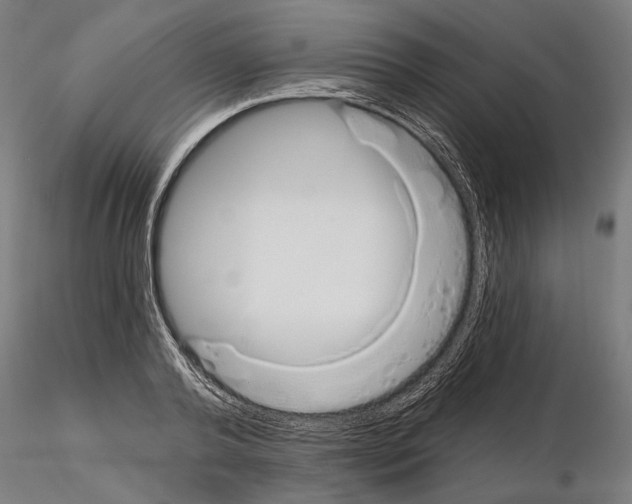 X0000115110792200912081320