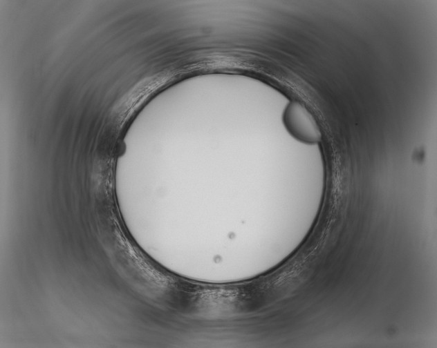 X0000115110793200912081320