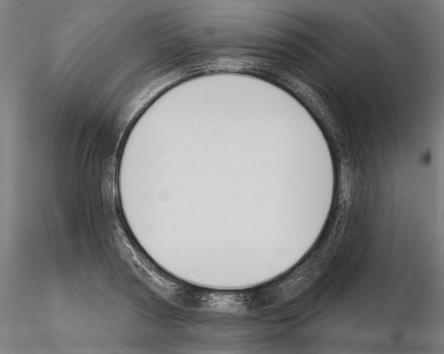 X0000115110794200912081320