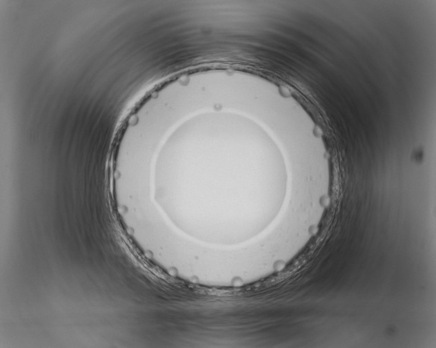 X0000115110796200912081320