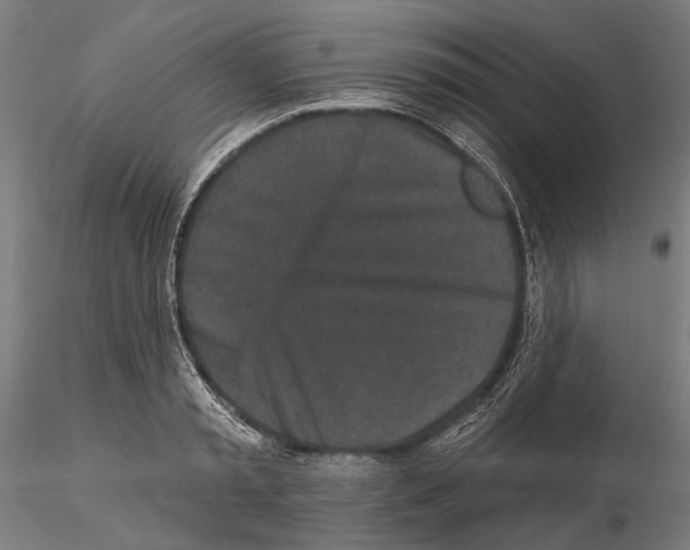 X0000115110797200912081320