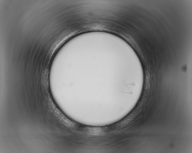 X0000115110798200912081320