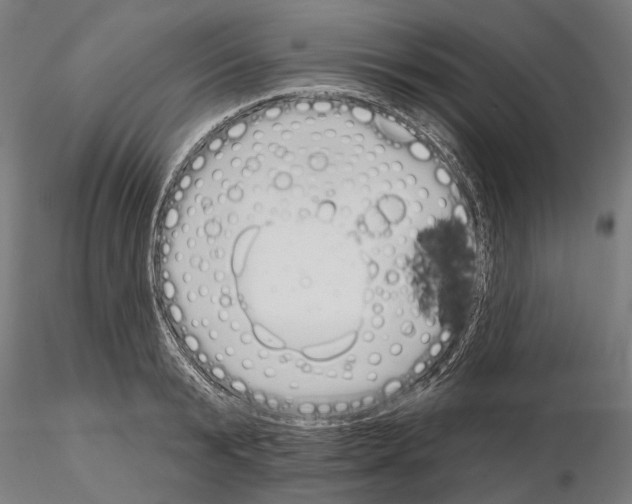 X0000115110799200912081320