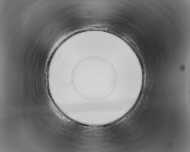 X0000115110800200912081320