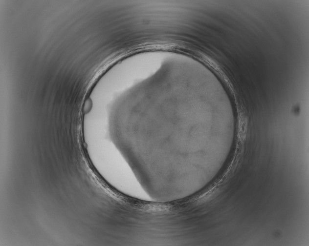 X0000115110802200912081320