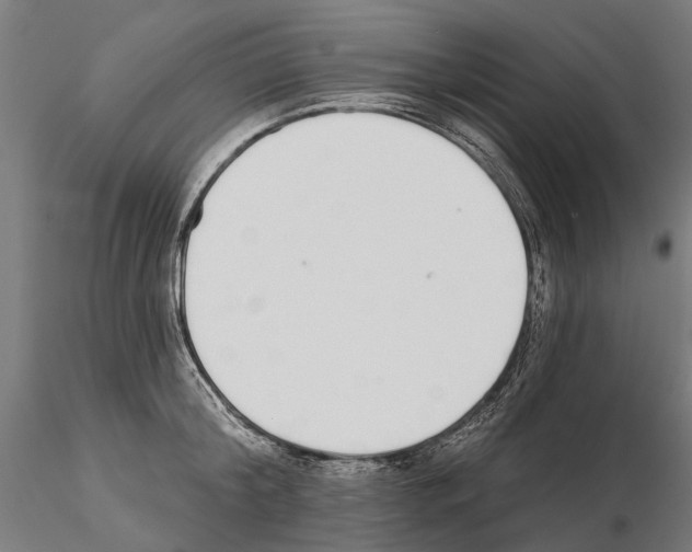 X0000115110804200912081320