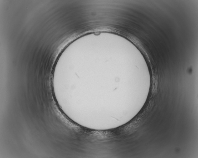 X0000115110805200912081320