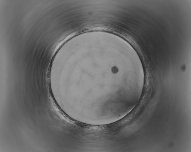 X0000115110806200912081320