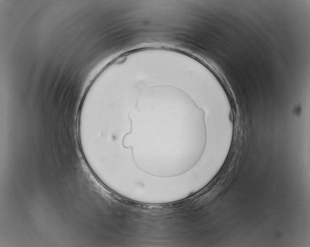 X0000115110807200912081320