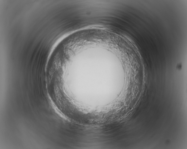 X0000115110808200912081320