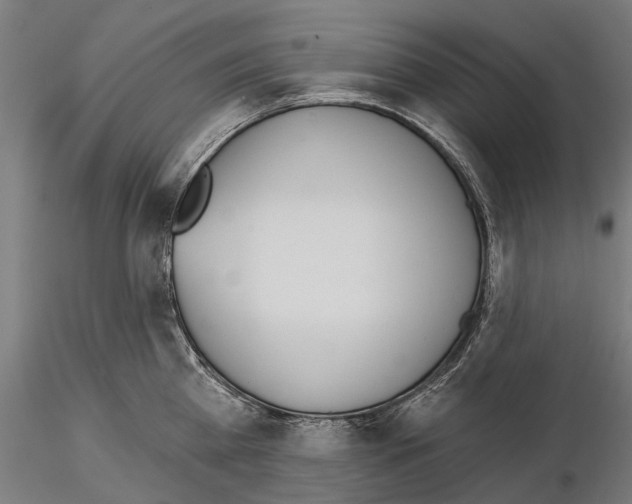 X0000115110809200912081320