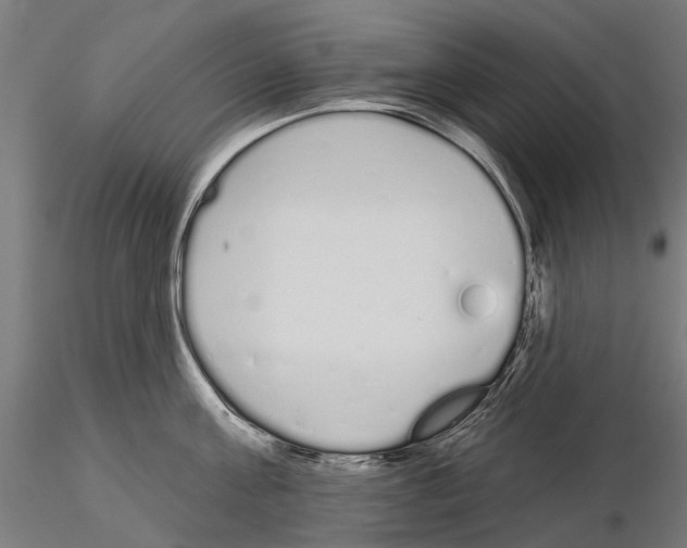 X0000115110811200912081320