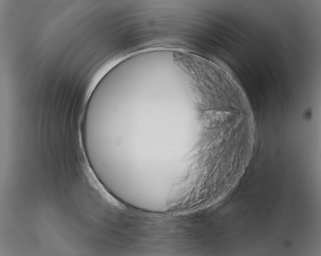 X0000115110812200912081320