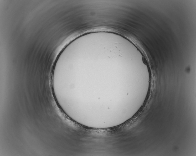 X0000115110813200912081320