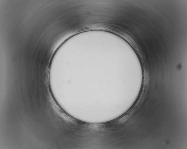 X0000115110814200912081320