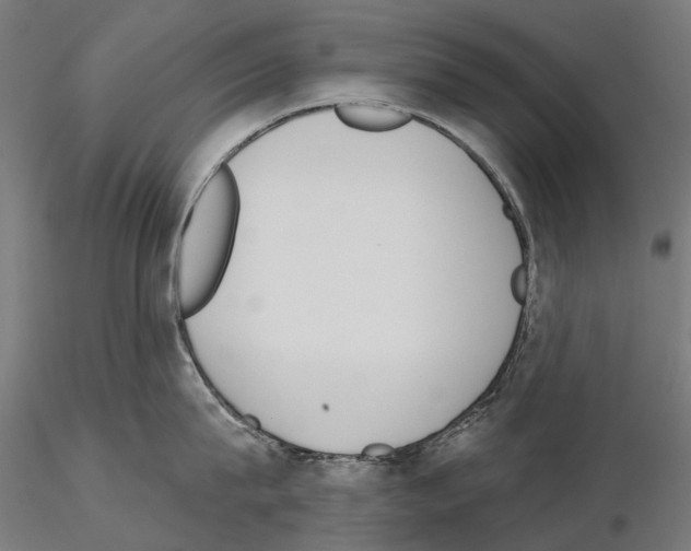 X0000115110815200912081320