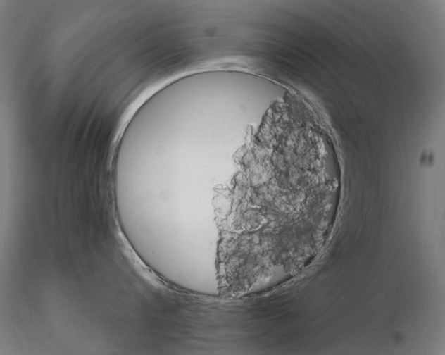 X0000115110816200912081320