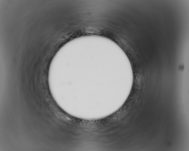 X0000115110817200912081319