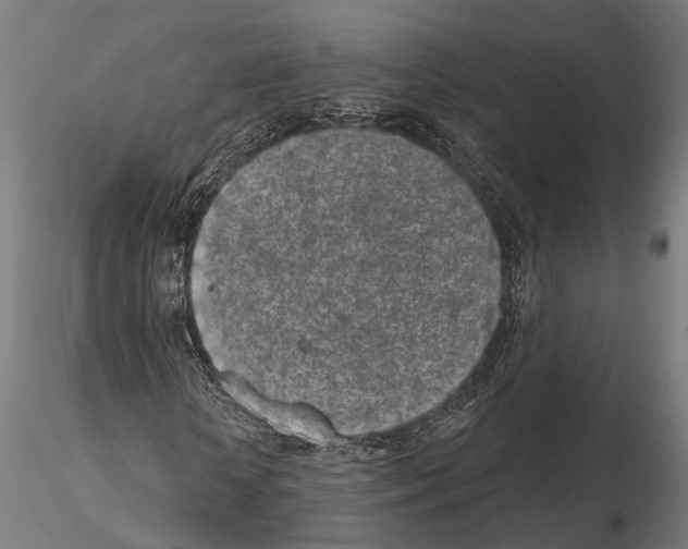 X0000115110818200912081319