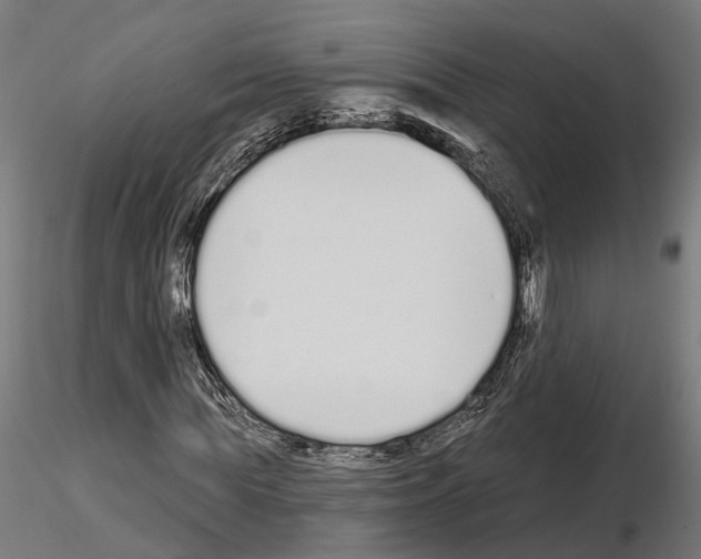 X0000115110819200912081319